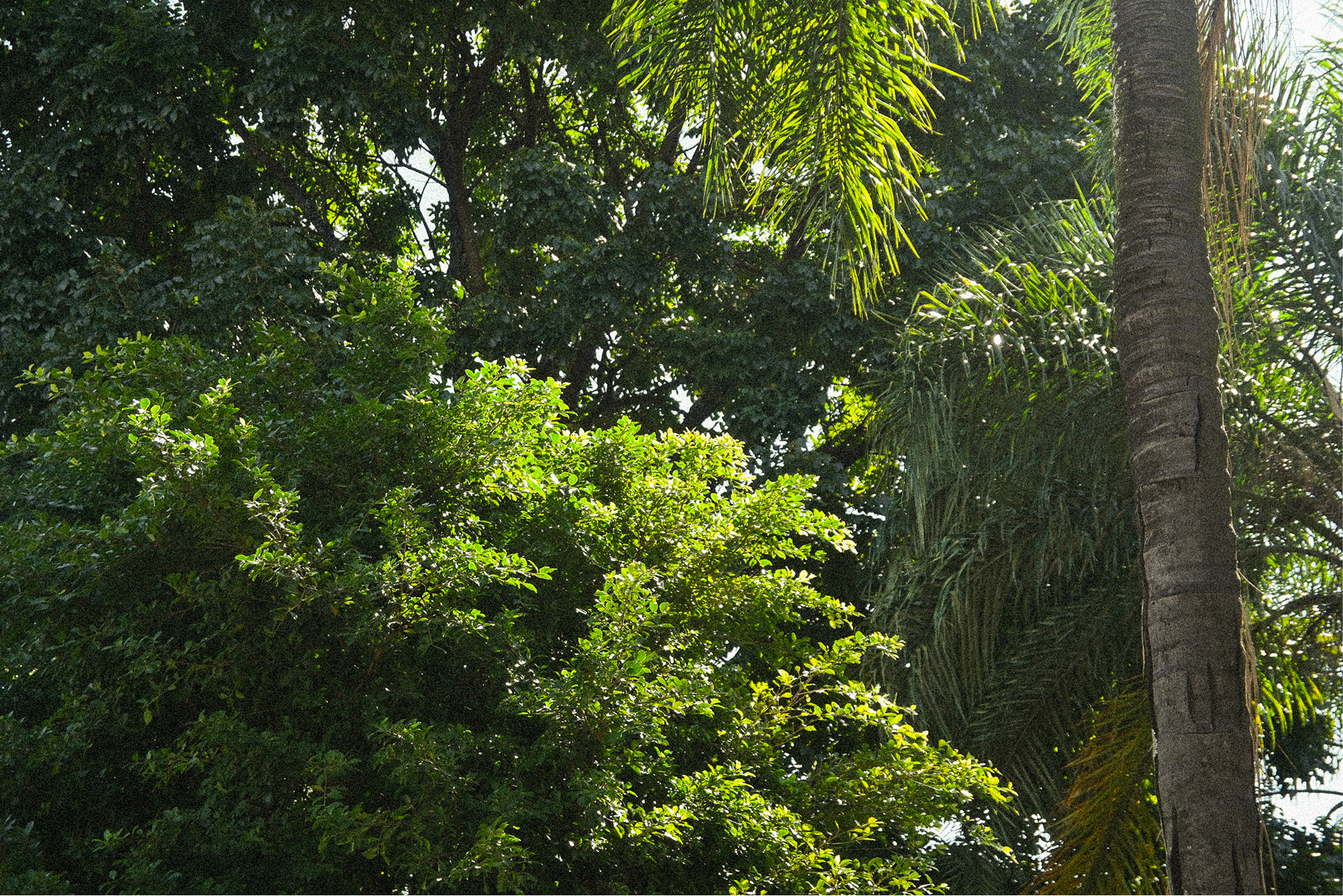 O Bairro — Vista Geral