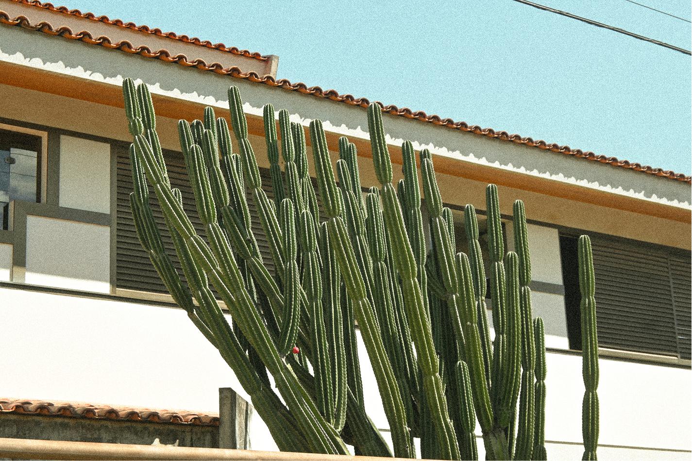 O Bairro — Detalhe 1